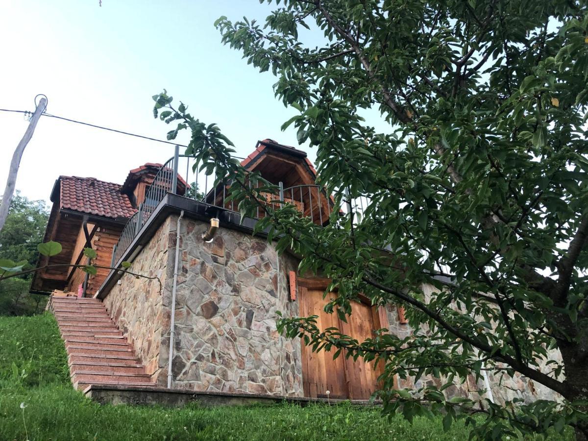Vineyard Cottage Janko & Metka Otočec エクステリア 写真