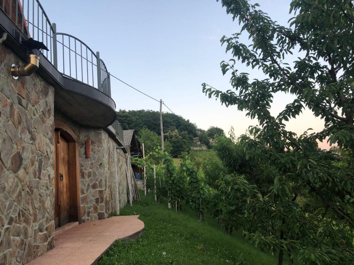 Vineyard Cottage Janko & Metka Otočec エクステリア 写真
