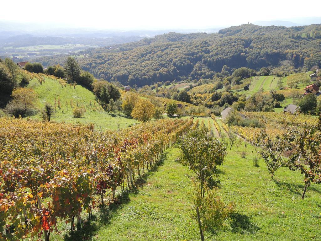 Vineyard Cottage Janko & Metka Otočec エクステリア 写真
