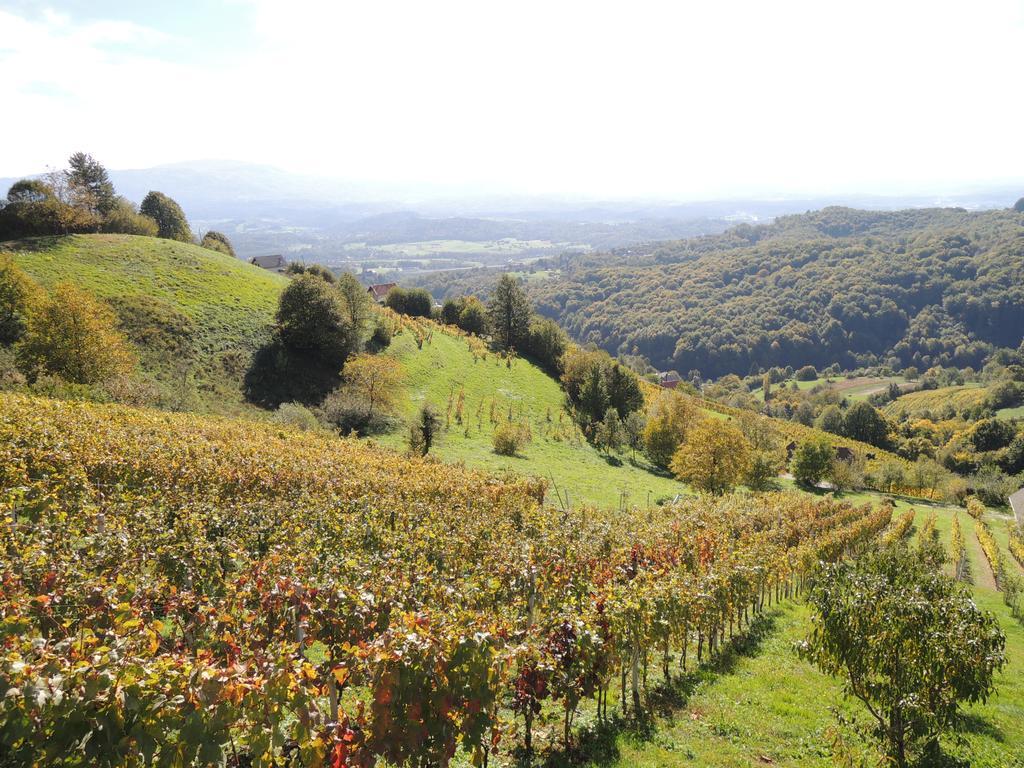 Vineyard Cottage Janko & Metka Otočec エクステリア 写真
